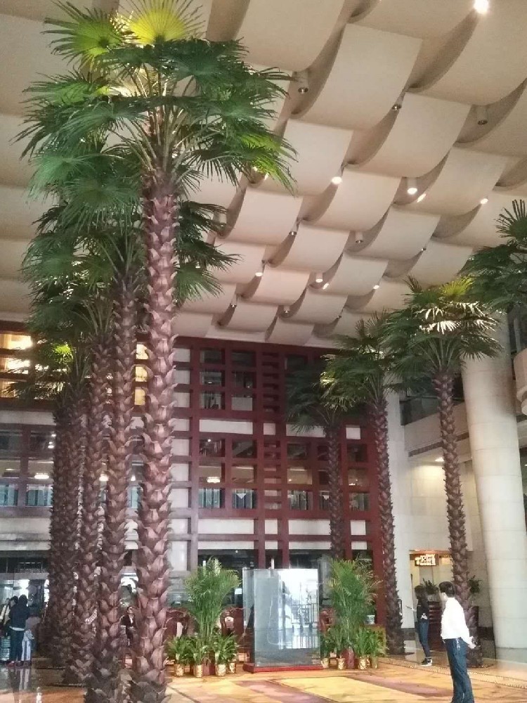 酒店仿真棕榈树