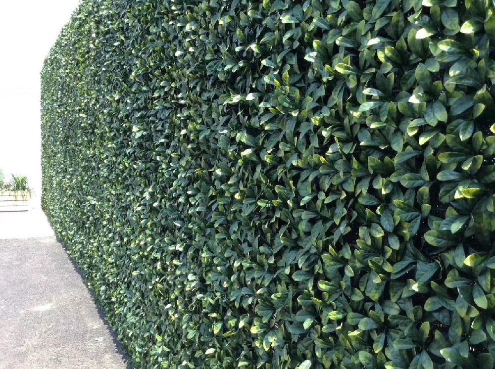 小区围栏植物墙