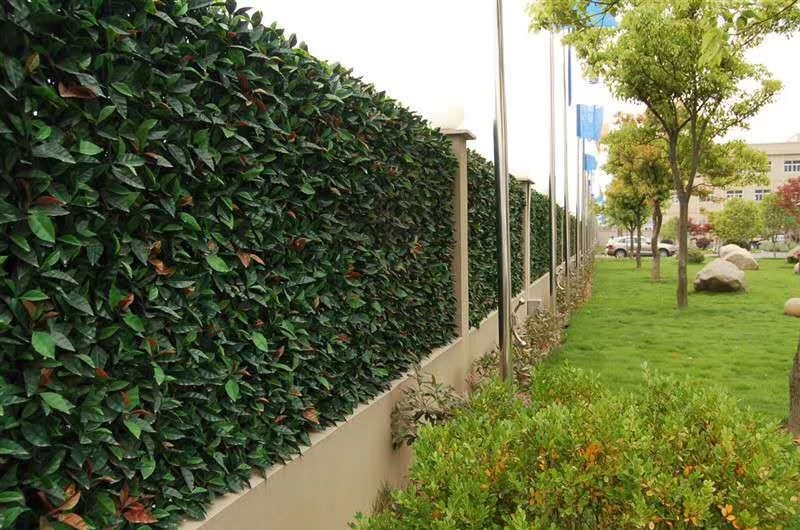 小区围栏植物墙