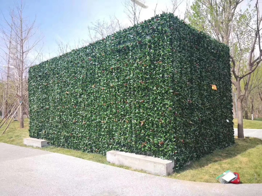 市政花箱配电绿化植物墙