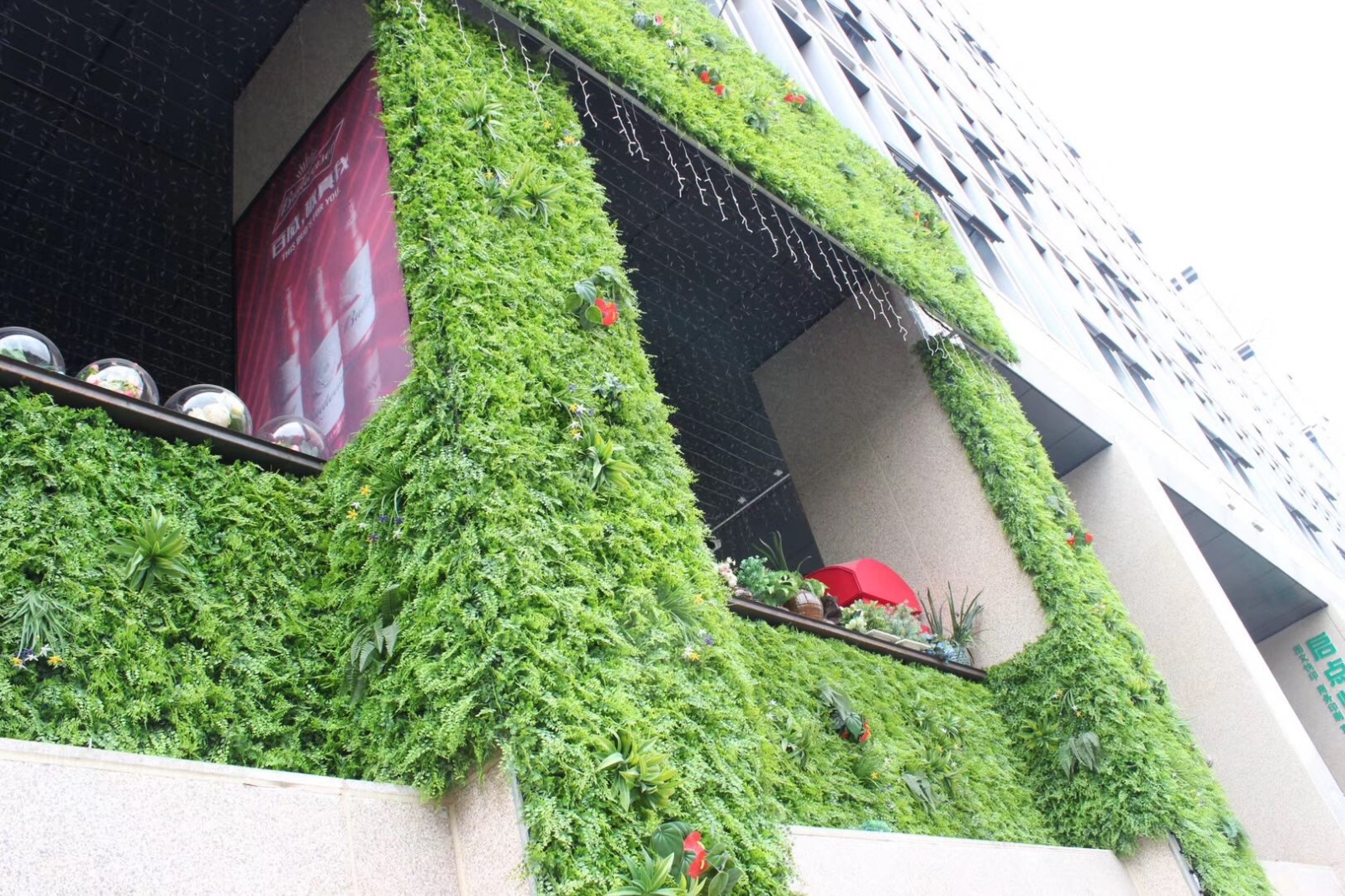 酒店外墙垂直绿化