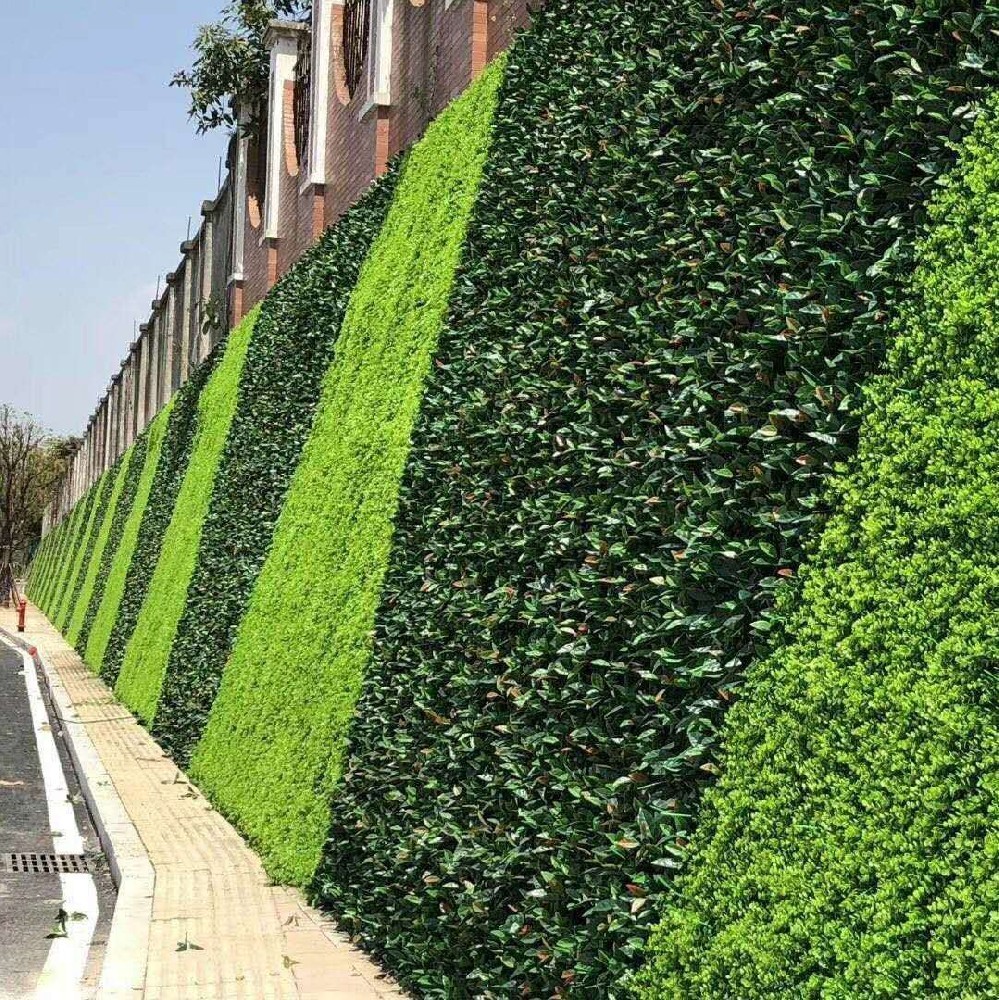 市政景观植物墙