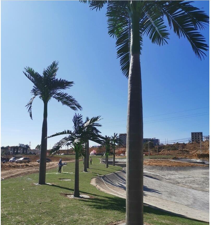 公园仿真椰子树