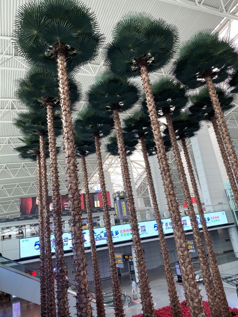 机场仿真椰子树