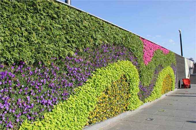 植物墙的城市作用
