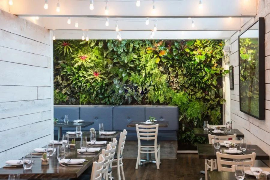餐厅仿真植物墙