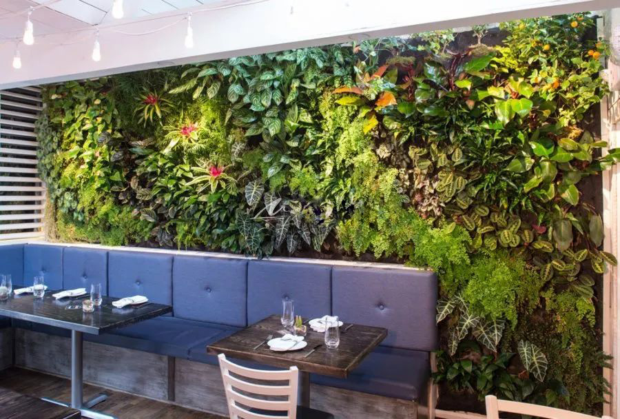 餐厅仿真植物墙