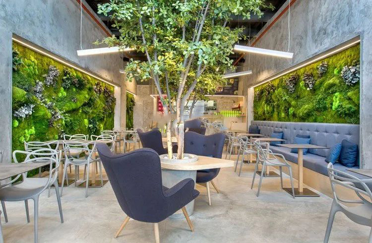 咖啡店植物墙
