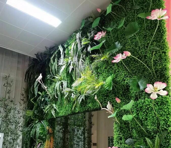 植物墙挑选植物