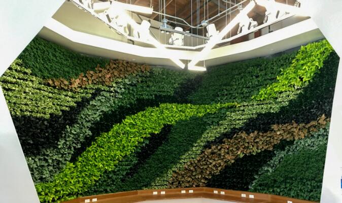 生态植物墙