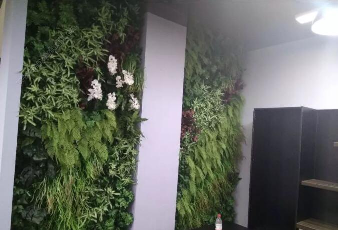 仿真植物墙和生态植物墙的对比