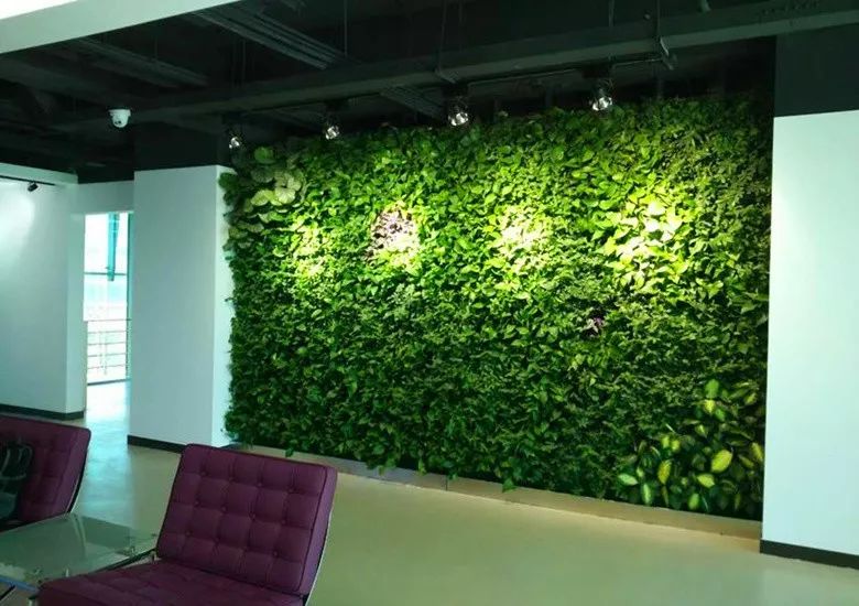 办公室仿真植物墙