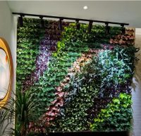 立体绿化植物墙