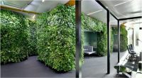办公室绿萝垂直绿化景观