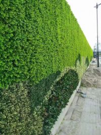 要制作仿真度高的仿真植物墙需要注意事项