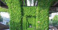 仿真植物墙城市景观的一抹绿色
