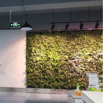 企业文化植物墙