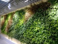 垂直绿化之仿真植物墙