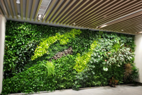 仿真植物墙与实际植物墙的适用性