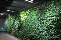 仿真植物墙安装位置有什么要求
